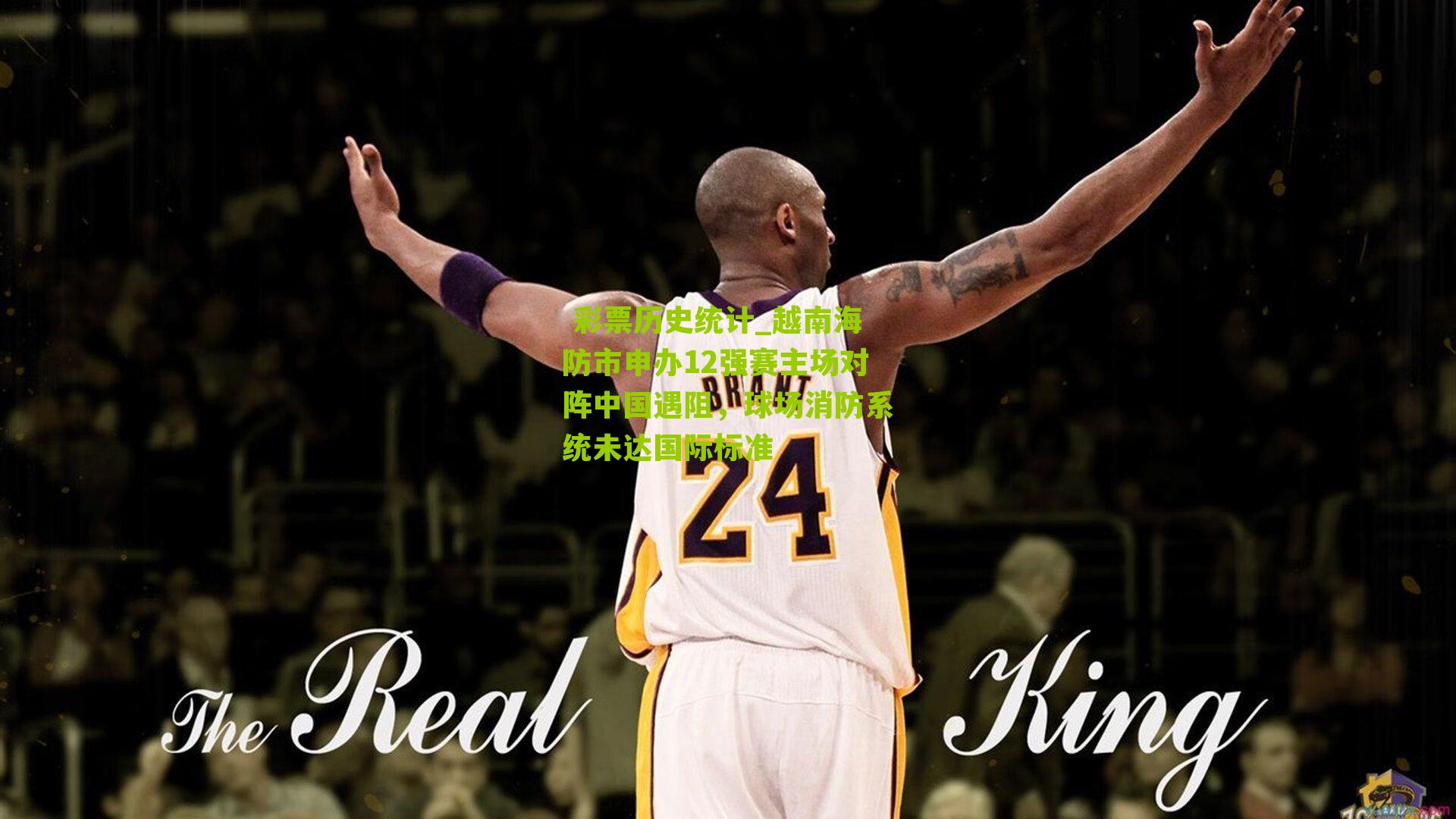  彩票历史统计_越南海防市申办12强赛主场对阵中国遇阻，球场消防系统未达国际标准